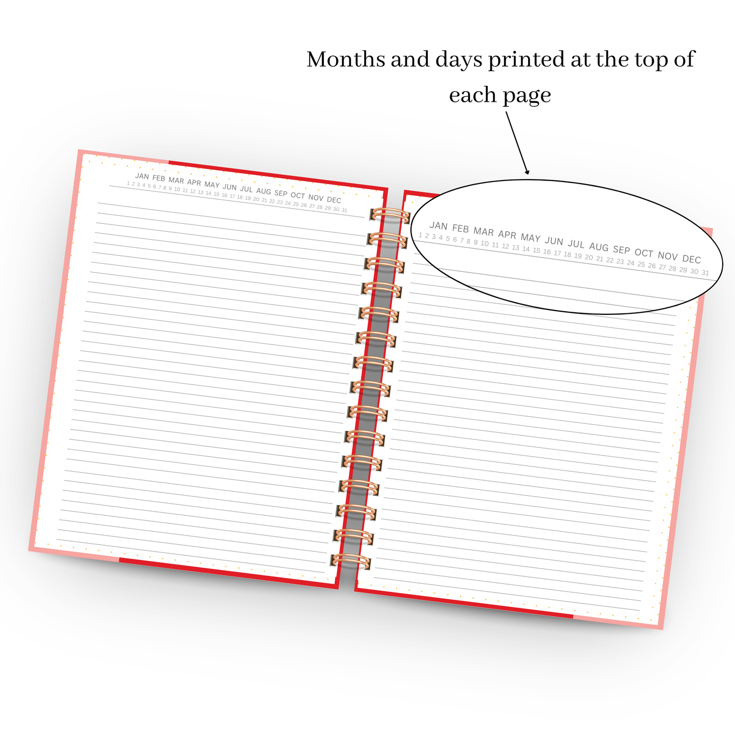 Unhinged & Unapologetic | Lined & Grid Notebooks | Journaling, Writing & Bullet Journal