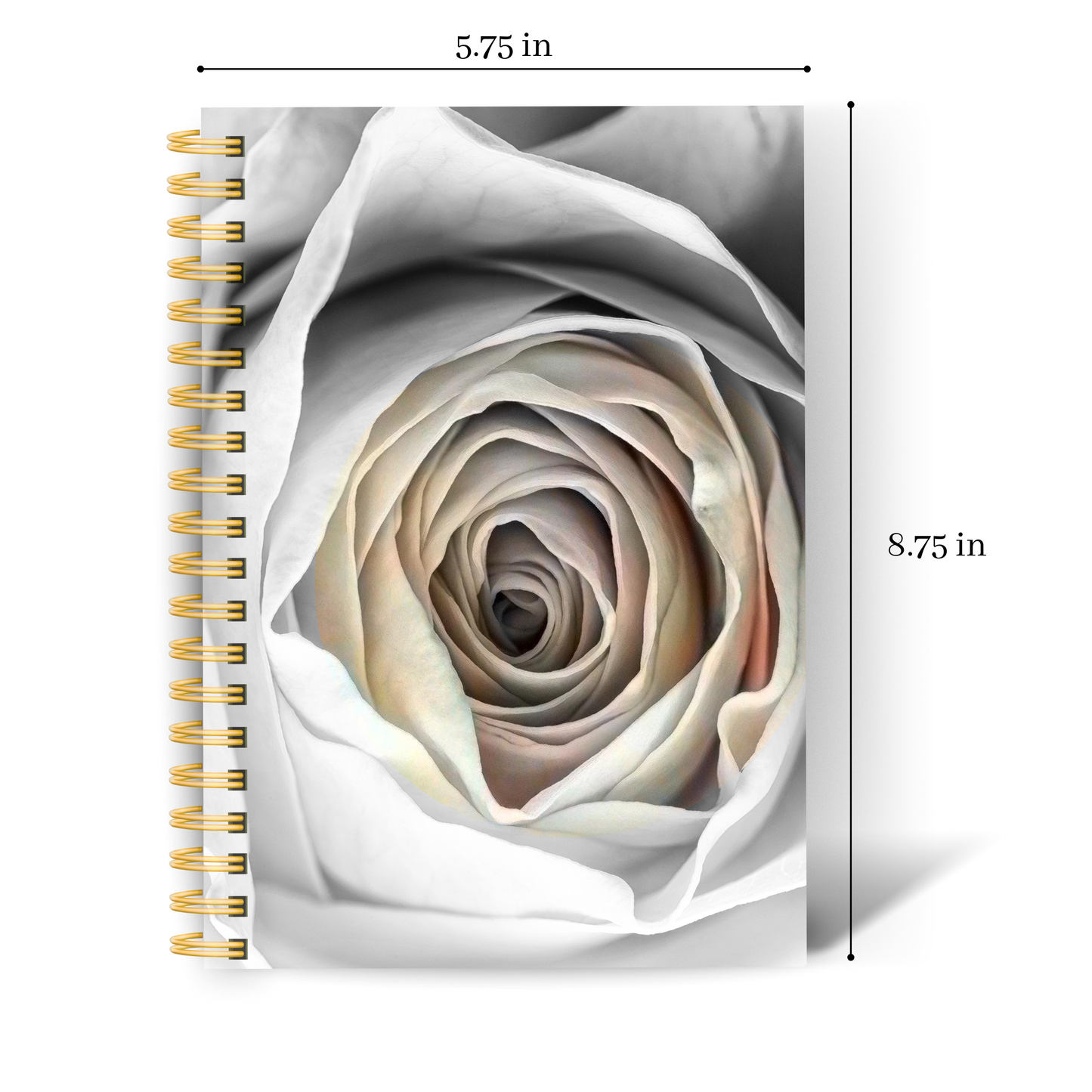 ROSE Lined & Grid Notebooks | Journaling, Writing & Bullet Journal
