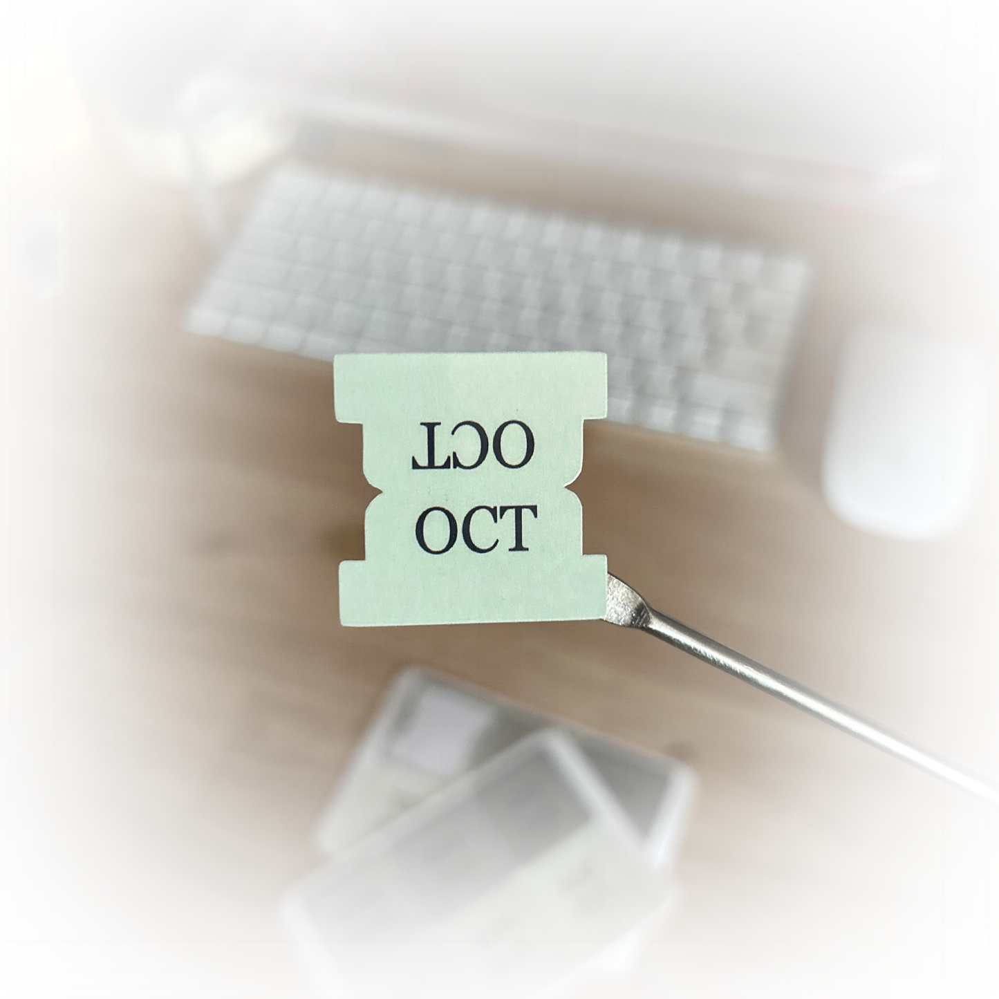 Green Ombre Monthly Tab Stickers | Planner Organization Made Easy