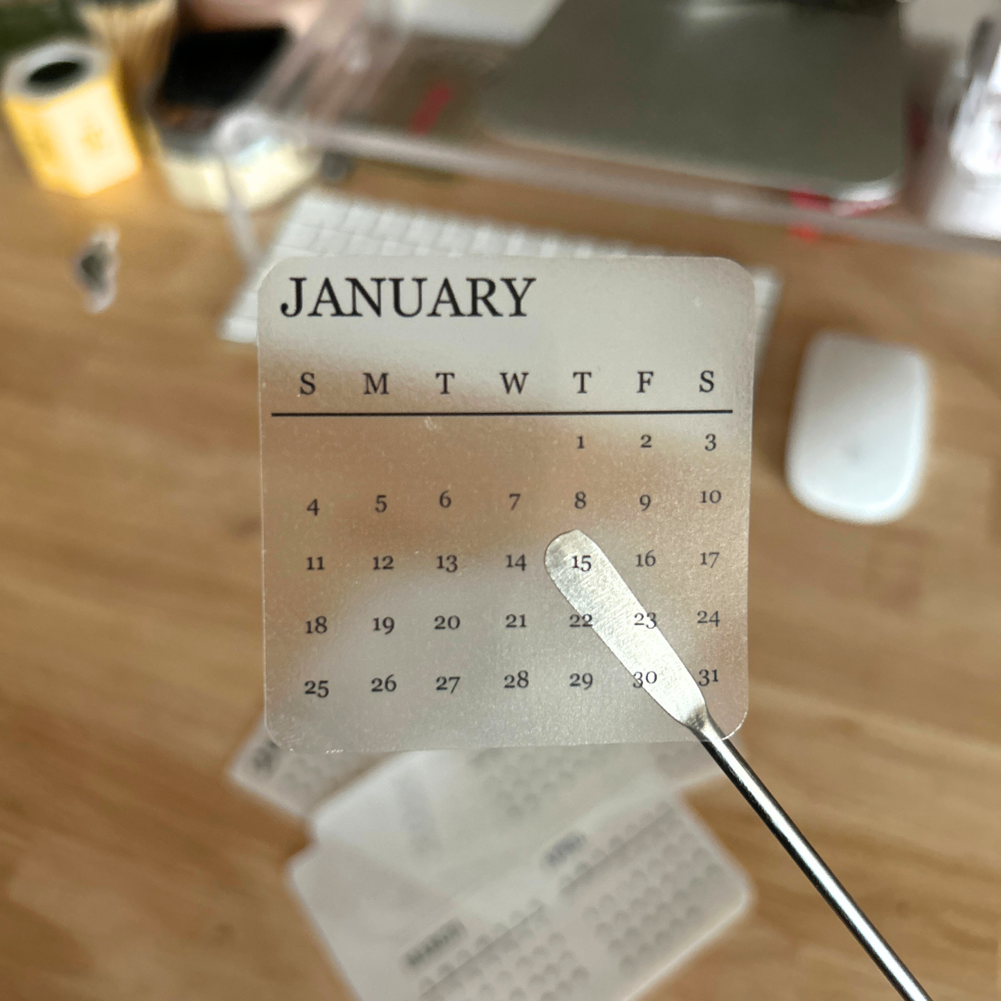 Clear Monthly Planner Stickers – Month Labels Set